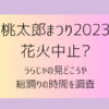 桃太郎まつり2023花火中止?うらじゃの見どころや総踊りの時間を調査!