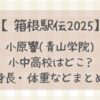 小原響(青学)小中高校はどこ?身長・体重や日本選手権の成績などまとめ