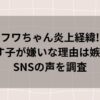 フワちゃん炎上経緯!やす子が嫌いな理由は嫉妬?SNSの声を調査!