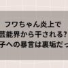 フワちゃん炎上で芸能界から干される?やす子への暴言は裏垢だった?