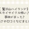 鷲羽山ハイランドスカイサイクル怖い?事故あった?高さや口コミなどまとめ