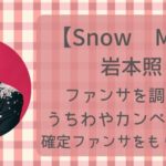 岩本照のファンサを調査!うちわやカンペネタで確定ファンサをもらう方法!