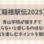 【箱根駅伝 】青山学院が強すぎてつまらない?駅伝を楽しむポイント4つ!