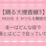 踊る大捜査線THE MOVIE 3 ヤツらを解放せよ！(映画)圭一はどんな役で青島とどこで会っていた？